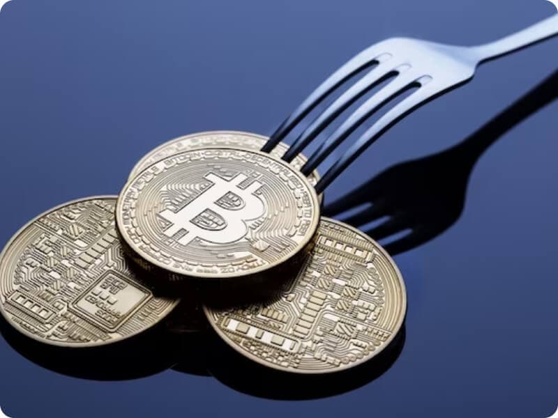 Consensus Forking