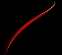 AVALANCHE