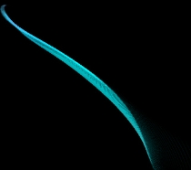 SUI